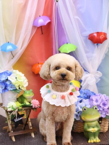 20230602モナカくん